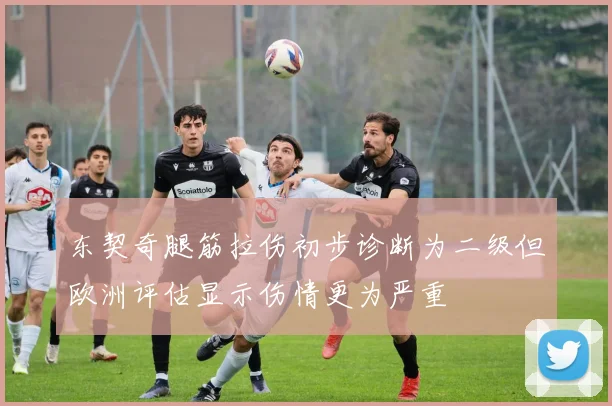 东契奇腿筋拉伤初步诊断为二级但欧洲评估显示伤情更为严重