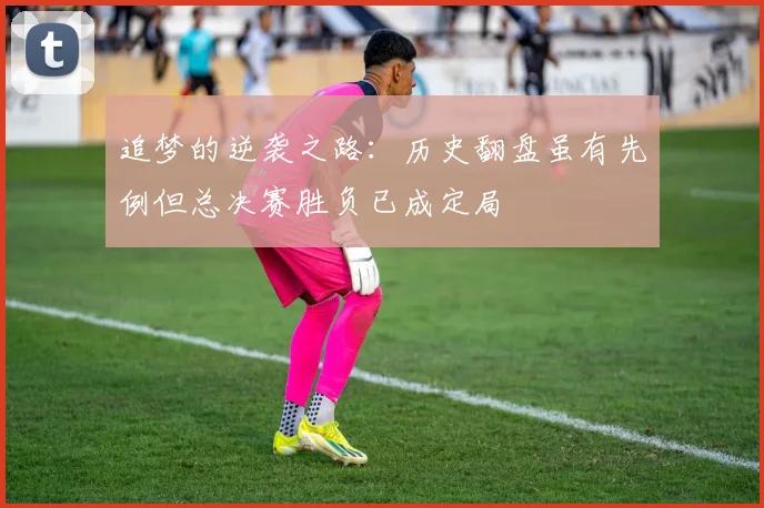 追梦的逆袭之路：历史翻盘虽有先例但总决赛胜负已成定局