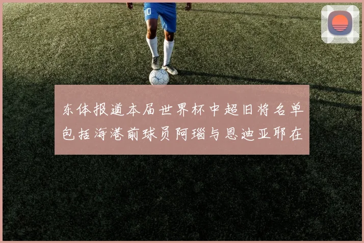 东体报道本届世界杯中超旧将名单包括海港前球员阿瑙与恩迪亚耶在内的10位球员