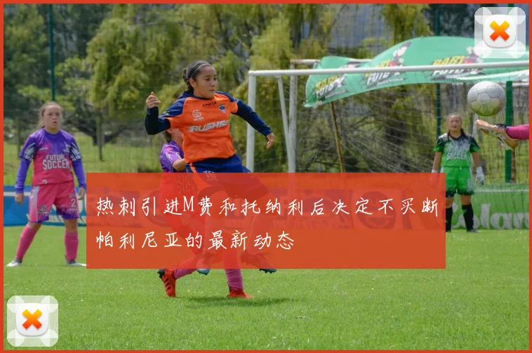热刺引进M费和托纳利后决定不买断帕利尼亚的最新动态